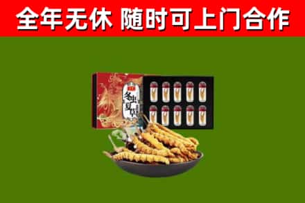 大祥区回收冬虫夏草价格
