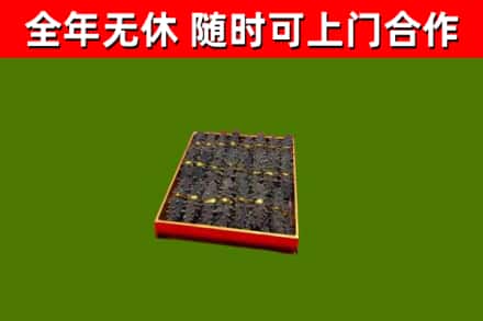 大祥区回收海参